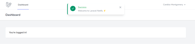 laravel 9 toast notification success message